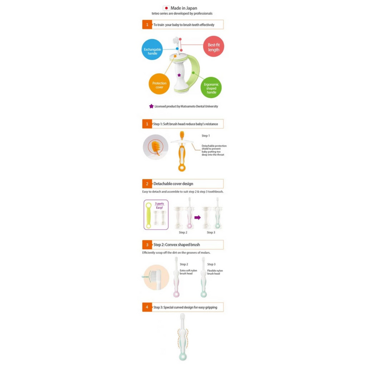 Combi Teteo Baby Toothbrush Set (6-12m+)