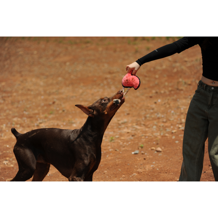 V-Pet Rough & Tough Toys - Welcome to the Jungle - Flamingo M