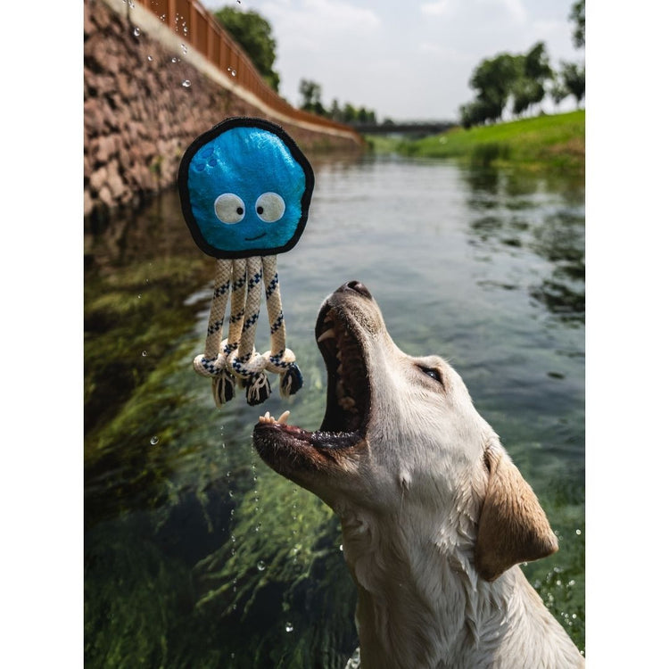 V-Pet Rough & Tough Toys - Wave Warriors - Octopus M