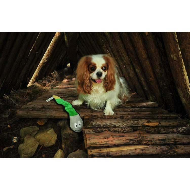 V-Pet Rough & Tough Toys - Welcome to the Jungle - Rattlesnake M