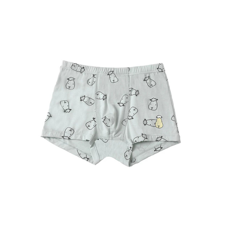 Baa Baa Sheepz Boys Boxer C009-M 3 Pcs - 6T