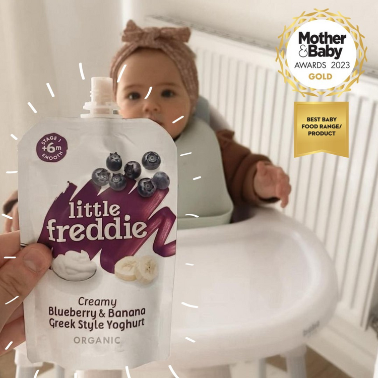 Little Freddie Organic Fruits Pouches (6m+) (90g-100g) - Puree