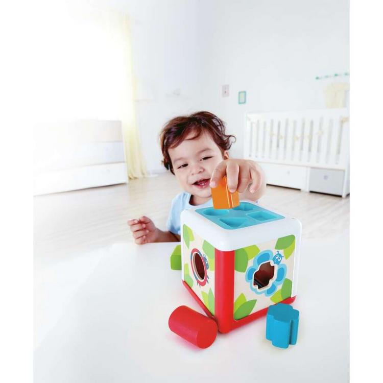 Hape 0507 Shape Sorting Box From 12 months