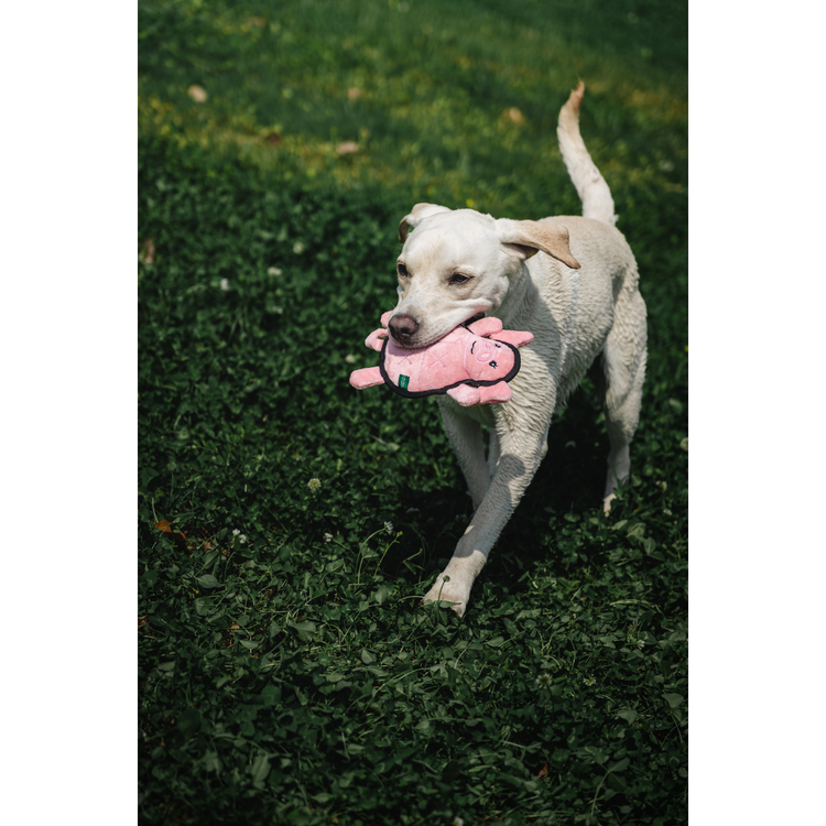 V-Pet Rough & Tough Toys - Welcome to the Farm - Pig M