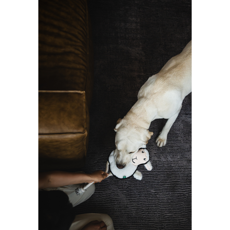 V-Pet Rough & Tough Toys - Welcome to the Farm - Sheep L