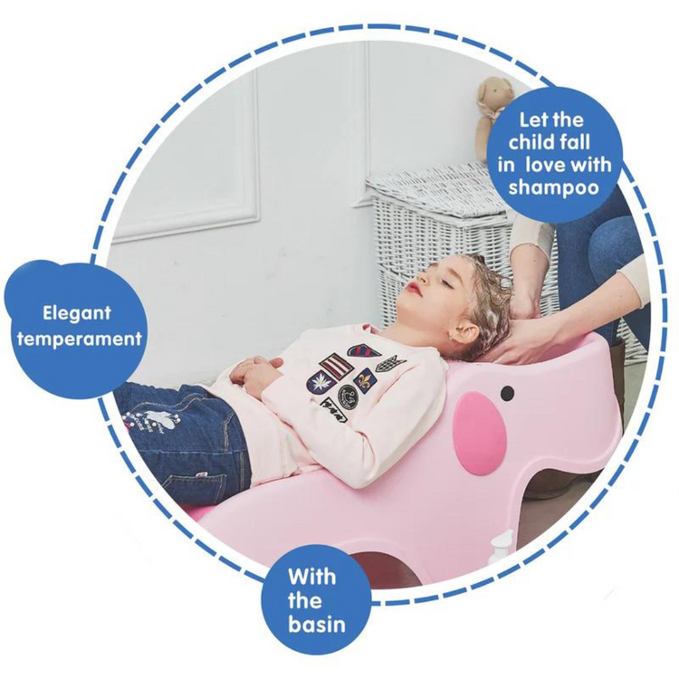 Lucky Baby Bath/Shampoo Chair (10-60kg)