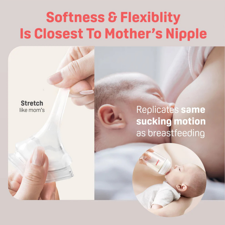 Pigeon SofTouch™ PPSU BPP Nursing Bottle - Gardens (160ml/240ml)