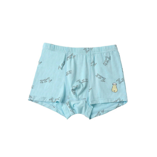 Baa Baa Sheepz Boys Boxer C009-M 3 Pcs - 6T