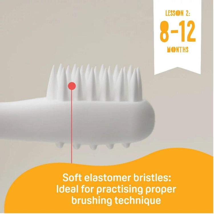 Pigeon Baby Training Toothbrush Lesson 2 (8m+)