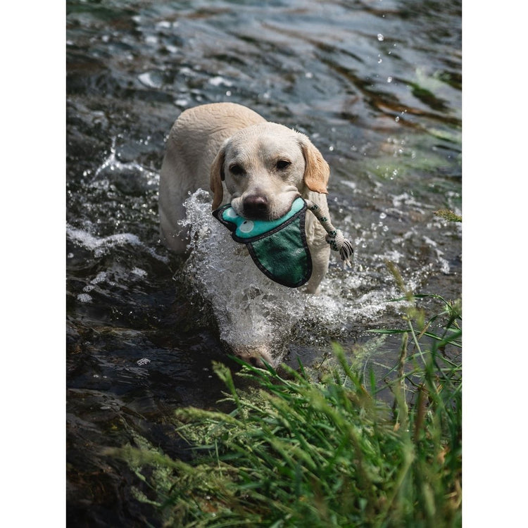 V-Pet Rough & Tough Toys - Wave Warriors - Manta M