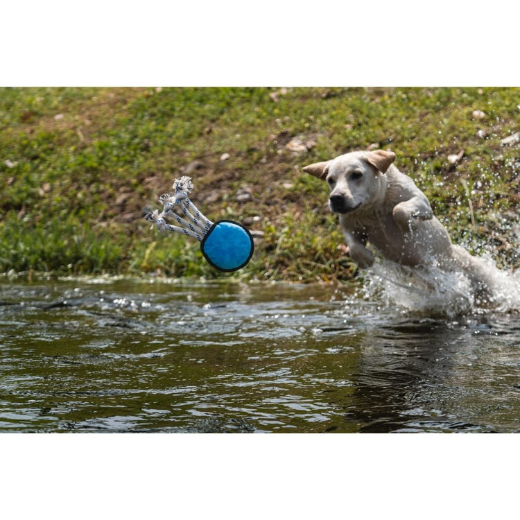 V-Pet Rough & Tough Toys - Wave Warriors - Octopus M