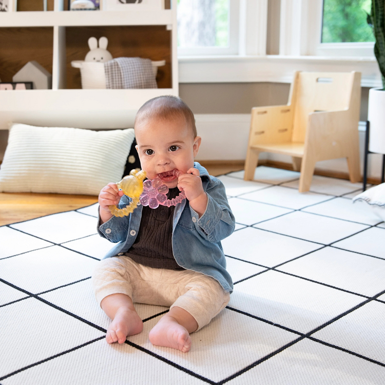 Ingenuity Cool Bite Water Teether Bomby (3m+)