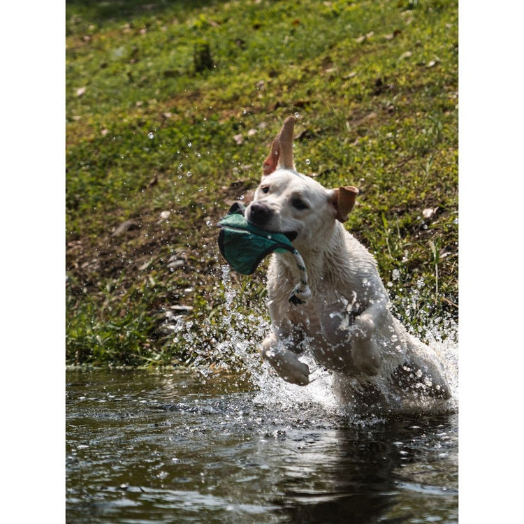 V-Pet Rough & Tough Toys - Wave Warriors - Manta M