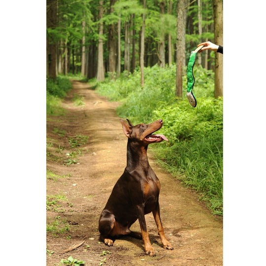 V-Pet Rough & Tough Toys - Welcome to the Jungle - Rattlesnake M