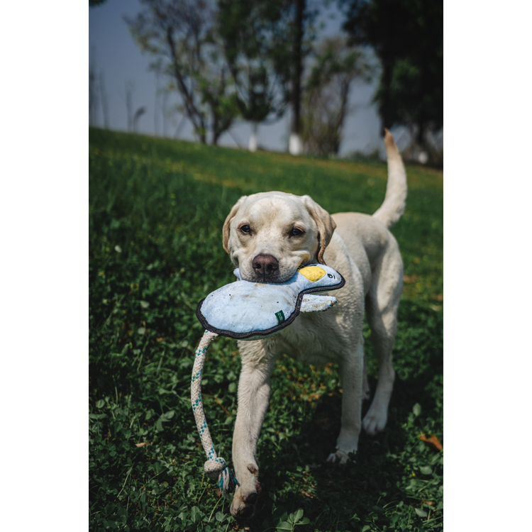 V-Pet Rough & Tough Toys - Welcome to the Farm - Duck L