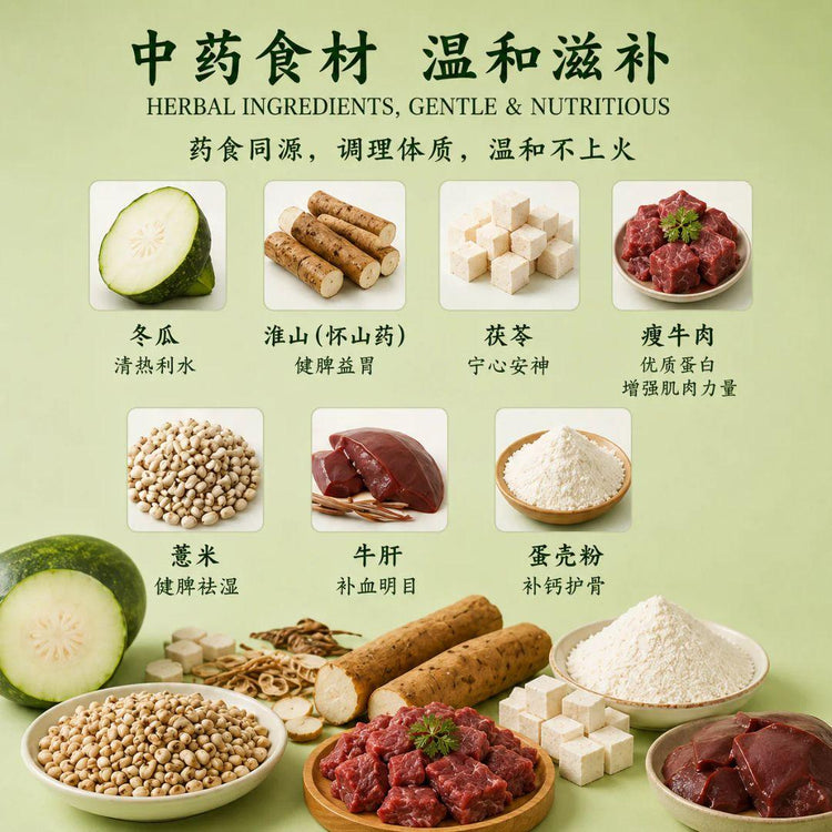 Mydogking Slow-Braised Beef With Winter Melon