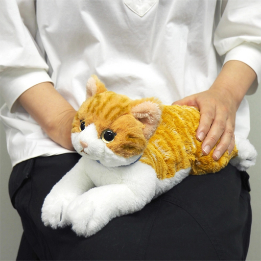 Sunlemon 7822 Chashiro - Lying Cat Stuffed Toy S