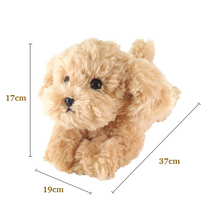 Translation missing: ms.sections.featured_product.gallery_thumbnail_alt
