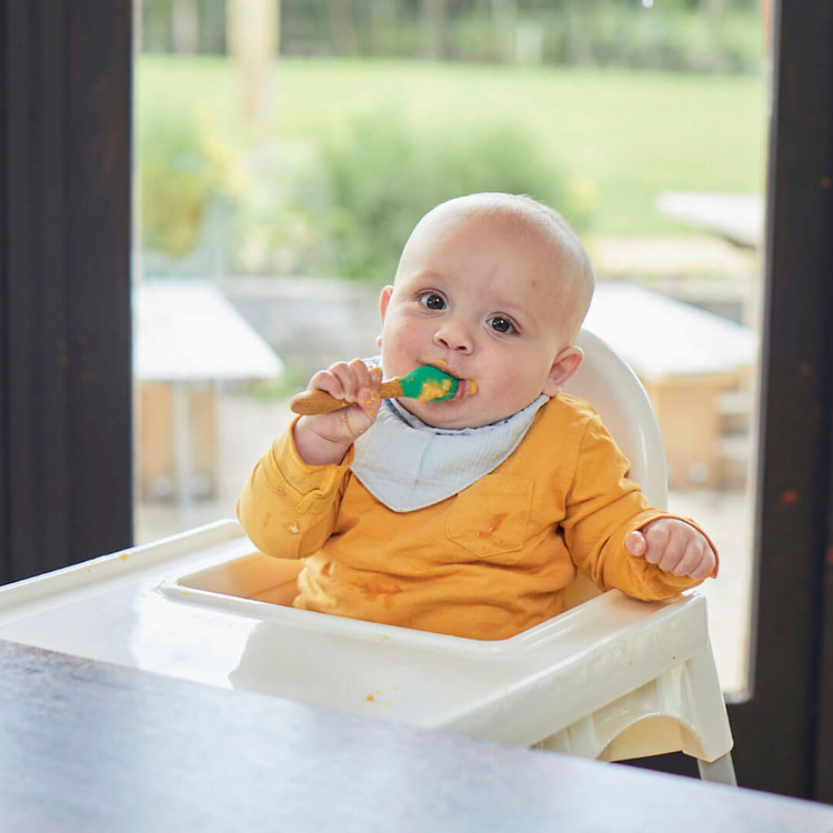 [Single Pack] Organix Fruit Baby Puree Pouches 100g