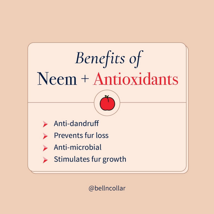 Bell & Collar Neem + Anti-Oxidants Natural Flea & Tick Shampoo for pets 350ml (for skin problems, suitable for daily use)