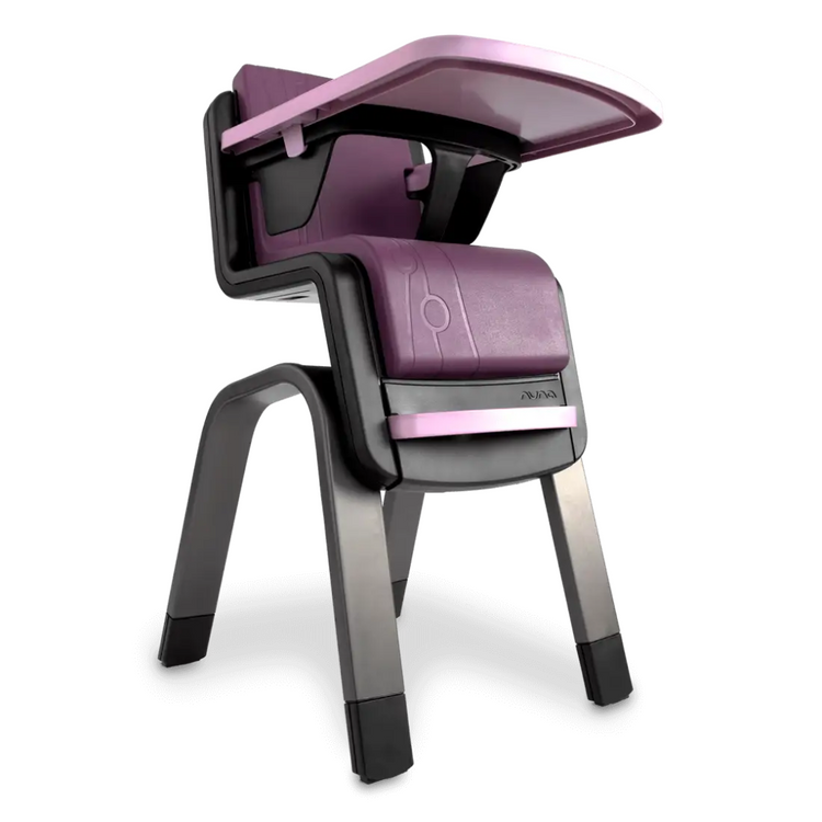 [PRE-ORDER] Nuna ZAAZ Black-Plum