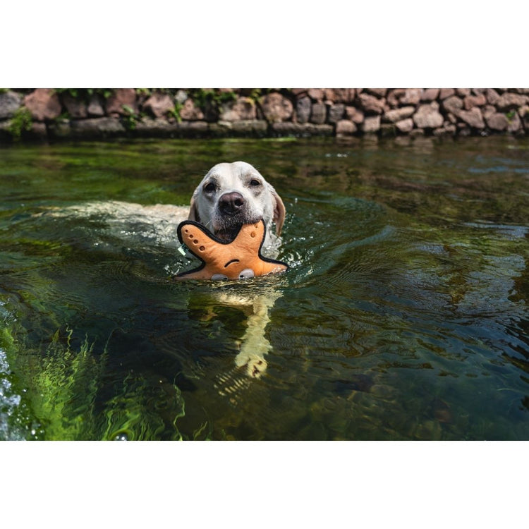 V-Pet Rough & Tough Toys - Wave Warriors - Starfish M
