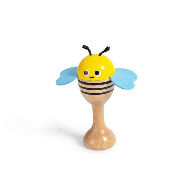 Hape 0639 Nature Band Rhythm Kit Suitable for Age 2-6 Years