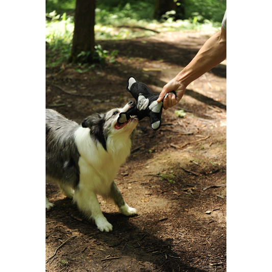 V-Pet Rough & Tough Toys - Welcome to the Jungle - Orangutan M