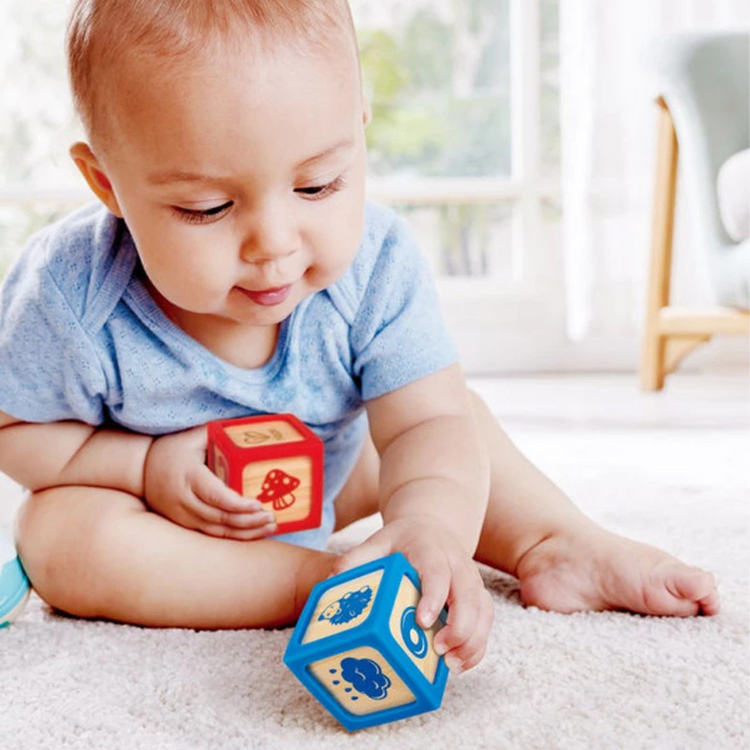Hape 0132 Smart Start Blocks (4Pcs) Suitable For Age 6+ Months