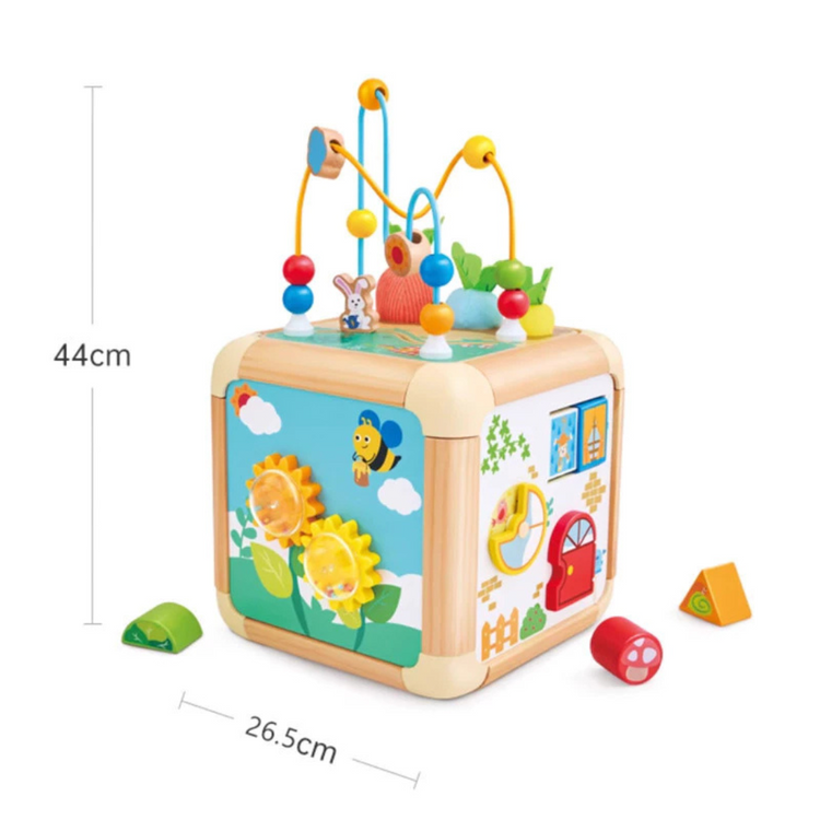Hape 0527 Green Thumb Activity Cube Suitable for Age 1-3 Years