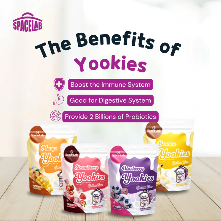 Space Lab Freeze Dried Yogurt Cookies 26g