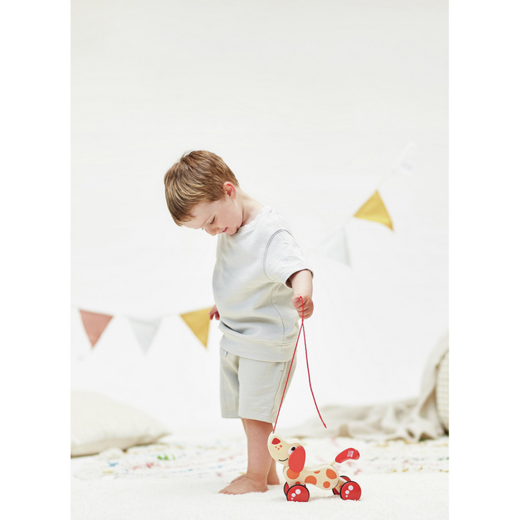 Hape 0347 Walk-A-Long Puppy From 12 months