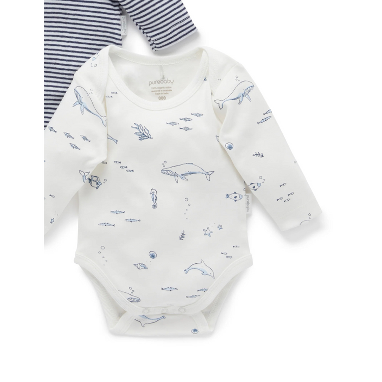 Purebaby 2 Pack Organic Easy Neck Long Sleeve Bodysuit - Vanilla Nautical Print