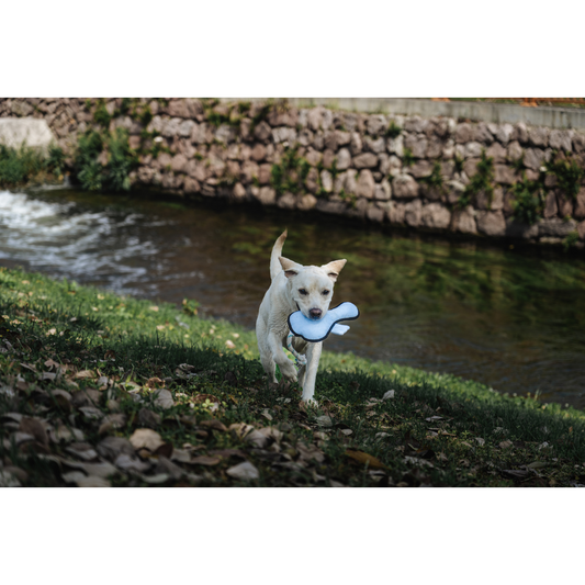 V-Pet Rough & Tough Toys - Welcome to the Farm - Duck L