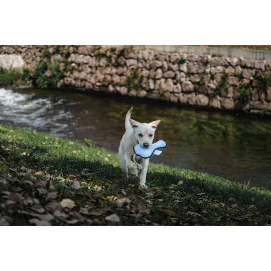 V-Pet Rough & Tough Toys - Welcome to the Farm - Duck L