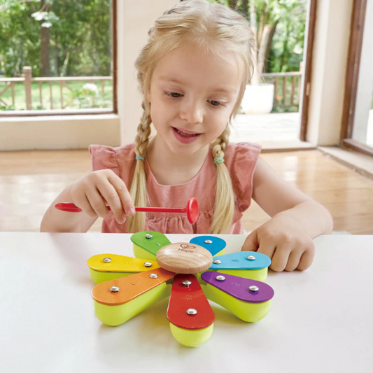 Hape 0639 Nature Band Rhythm Kit Suitable for Age 2-6 Years