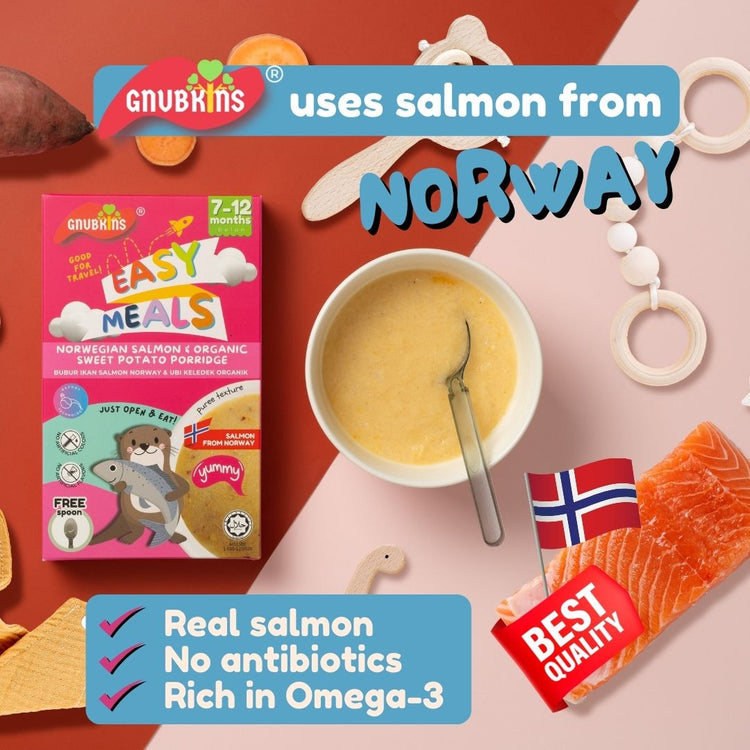 Little Baby Grains Easy Meals - Norwegian Salmon & Organic Sweet Potato Porridge (7-12m)