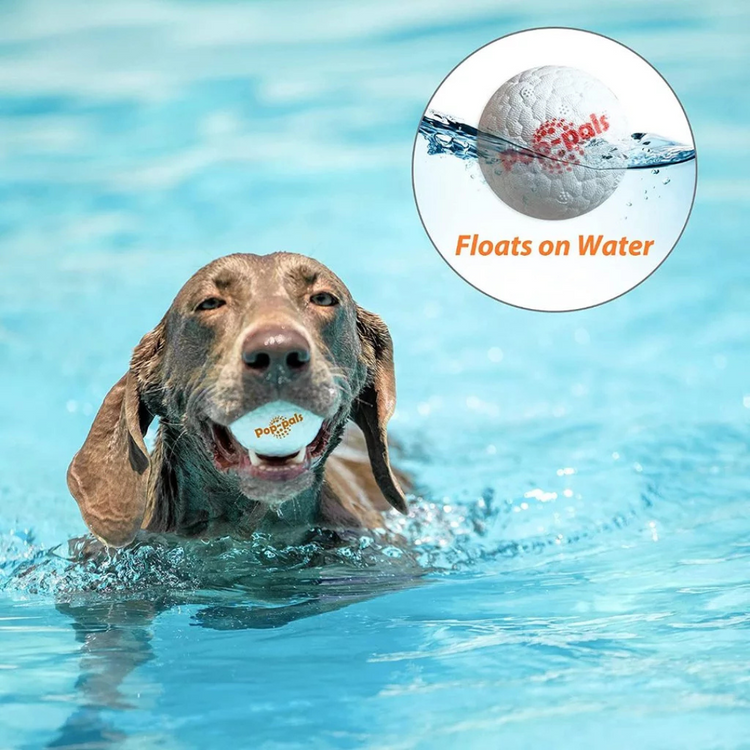 GiGwi Pop-pals E-TPU Ball Dog Toy