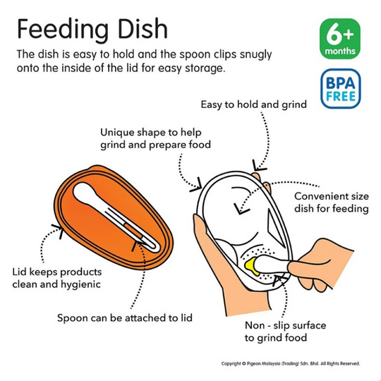 Pigeon Feeding Dish ( 6m+ )