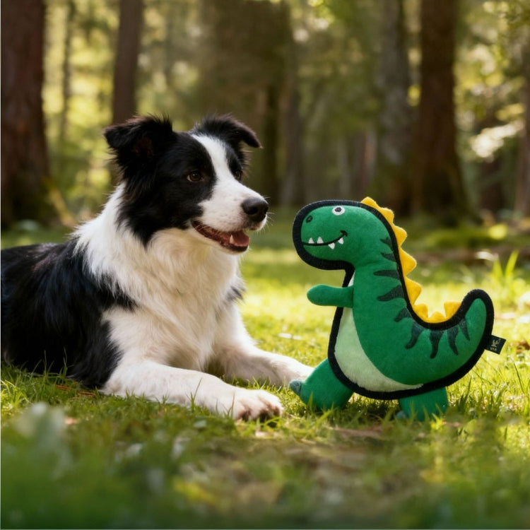 V-Pet Rough & Tough Toys - Jurassic Echo - Tyrannosaurus Rex-Green M