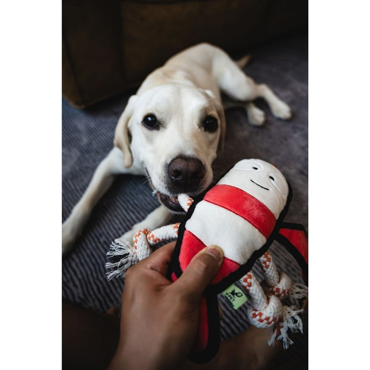 V-Pet Rough & Tough Toys - Wave Warriors - Lobster L