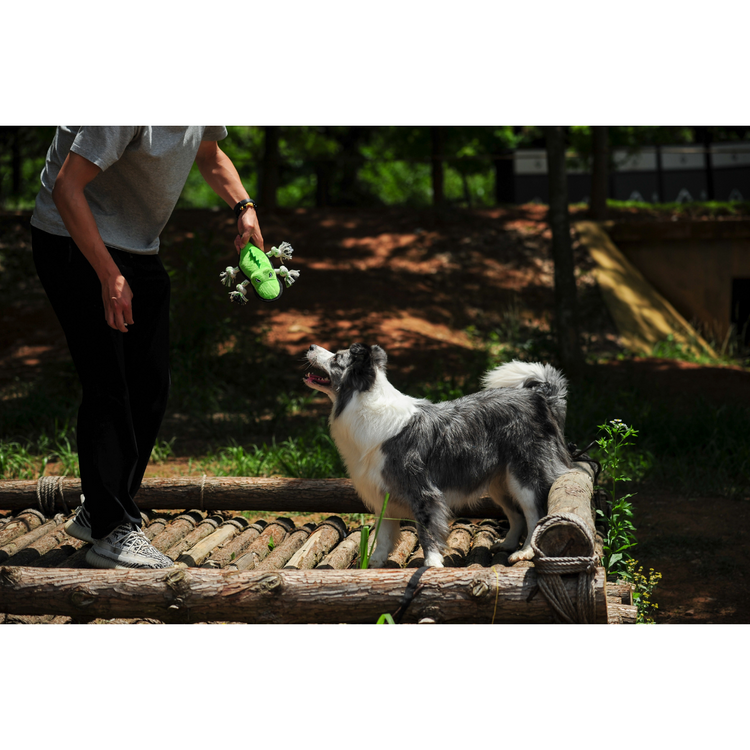 V-Pet Rough & Tough Toys - Welcome to the Jungle - Alligator M