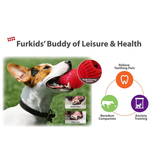 GiGwi Bulb Dog Treat Dispenser Toy