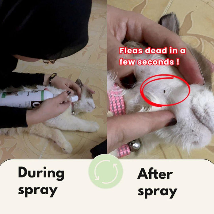 Pet Ganick Flea & Tick Spray (225ML)