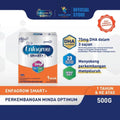 Enfagrow Smart+ S3 (1Y+) (500g) Susu Tepung Rumusan Kanak-kanak