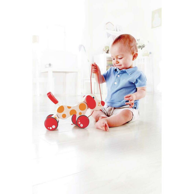 Hape 0347 Walk-A-Long Puppy From 12 months