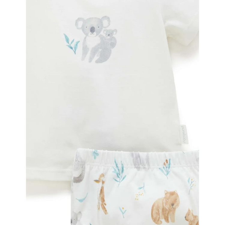 Purebaby - Organic Baby Koala Friends Gift Pack (3-6M)