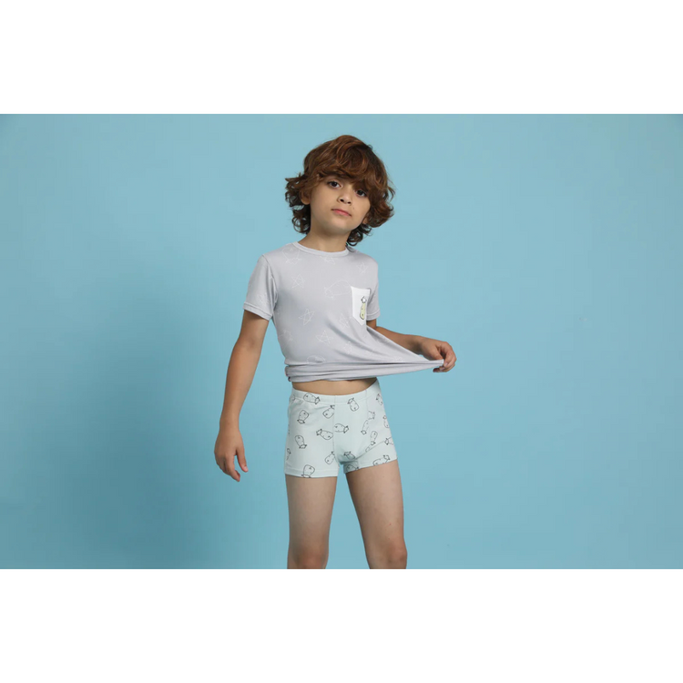 Baa Baa Sheepz Boys Boxer C009-M (3pcs) (5-6 years)