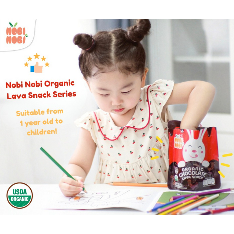 [HALAL] Nobi Nobi Organic Chocolate Lava Snack (20g)