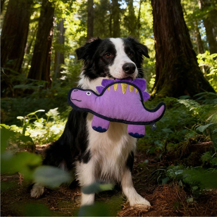 V-Pet Rough & Tough Toys - Jurassic Echo - Stegosaurus- Purple M